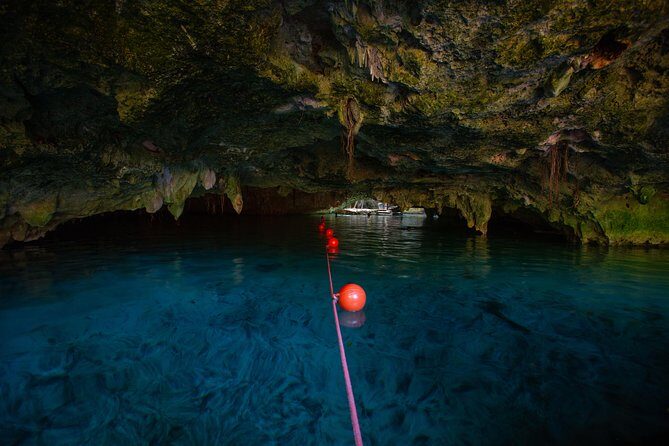 Cenotes trail jungle bike tour in Tulum with lunch - Who Will Love This Tour?