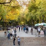 Central Park and 5th Avenue Walking Tour - An In-Depth Look at the Experience