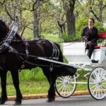 Central Park and NYC Horse Carriage Ride - A Detailed Look at the Central Park Carriage Ride