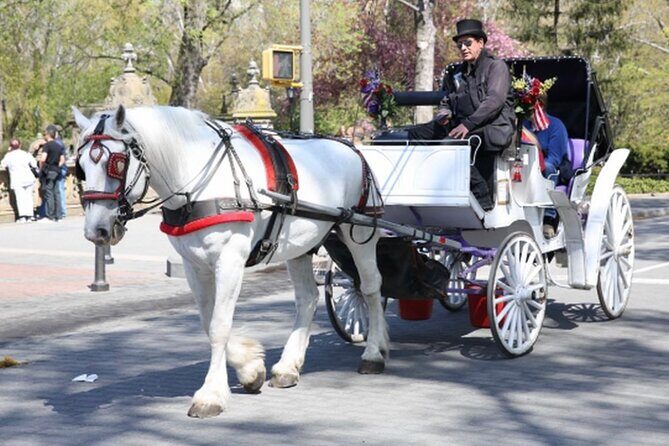 Central Park and NYC Private Horse Carriage Ride - Who Would Love This Tour?