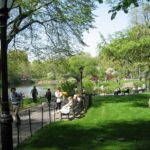 Central Park and Upper East Side Walking Tour - Why This Tour Offers Great Value