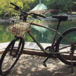 Central Park Bike Rentals - The Sum Up