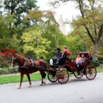 Central Park Carriage Ride w/ Drop Off @ Tavern On Green (45 min) - Who Is This Tour Best For?
