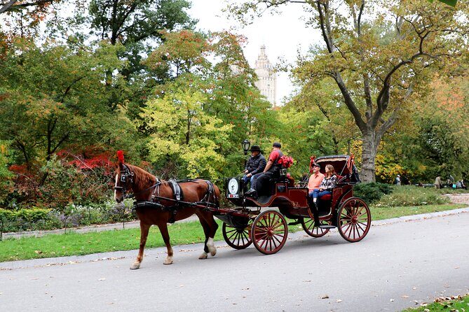Central Park Carriage Ride w/ Drop Off @ Tavern On Green (45 min) - Who Is This Tour Best For?