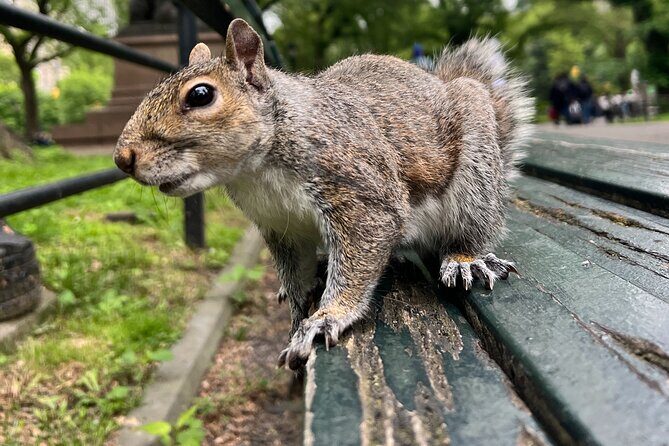 Central Park Guided Walking Tour with Iconic Sights and History - Who Is This Tour Best For?