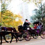 Central Park Horse Carriage Ride Short Loop (Up to 4 Adults)) - Who Will Love This Experience?