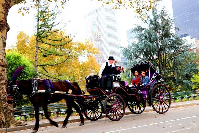 Central Park Horse Carriage Ride Short Loop (Up to 4 Adults)) - Who Will Love This Experience?