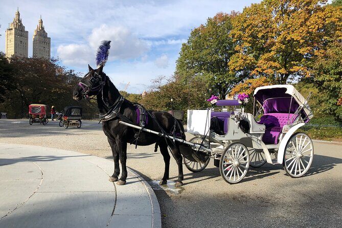 Central Park Horse Carriage Rides Since 2005 - A Detailed Look at the Central Park Horse Carriage Ride