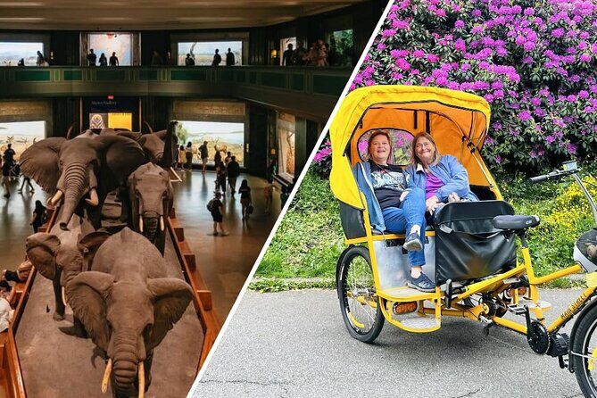 Central Park Pedicab Tour with Natural History Museum Access - Who Will Love This Tour?