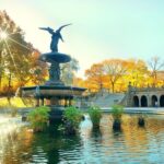 Central Park Pedicab Tours - An In-Depth Look at the Central Park Pedicab Tour