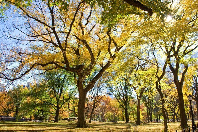 Central Park Photography Tour with Local Photographer - Who Will Love This Tour?