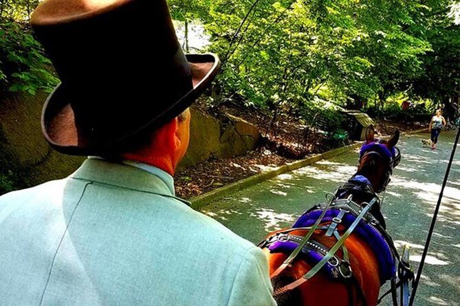 Central Park Private Horse and Carriage Tour - Final Thoughts