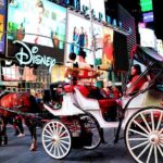 Central Park, Rockefeller & Times Square Carriage Ride (4 Adults) - Who Should Consider This Tour?
