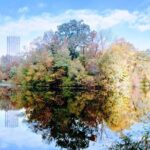 Central Park Scandal and Vice Tour - The Experience in Detail