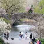 Central Park Secrets And Highlights - Who Will Love This Tour?