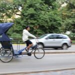 Central Park VIP Tour (All park tour up to 2 hour with unlimited stops) pedicab - What’s Included and What’s Not