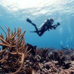 Certified Diving 2 Tanks in Cozumel - Who Should Consider This Tour?