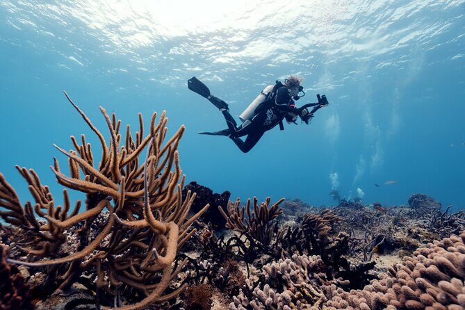 Certified Diving 2 Tanks in Cozumel - Who Should Consider This Tour?