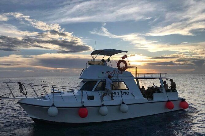 Certified Diving Experience in Cozumel - Exploring Cozumel’s Marine Marvels: A Practical Dive into the Experience