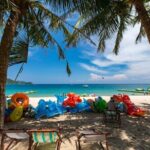 Cham Island Day Tour from Hoi An with Group tour - An In-Depth Look at the Cham Island Day Tour