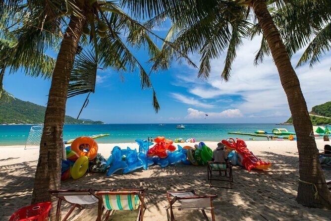 Cham Island Day Tour from Hoi An with Group tour - An In-Depth Look at the Cham Island Day Tour