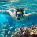 Cham Island Tour Snorkeling -Sunbathing - Nice Beach - Speedboat - Who Will This Tour Suit?