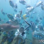 Cham Island: Underwater Walking & Snorkeling Tour - A Closer Look at the Experience