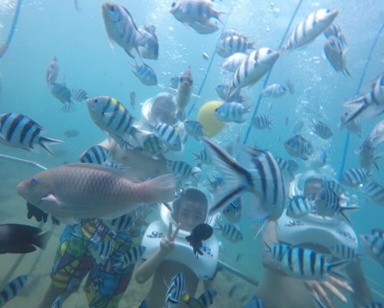 Cham Island: Underwater Walking & Snorkeling Tour - A Closer Look at the Experience