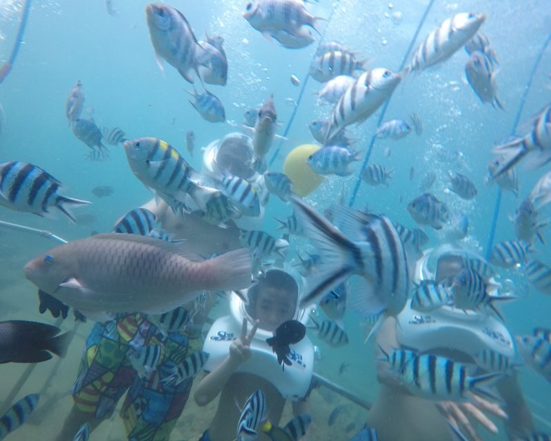 Cham Island: Underwater Walking & Snorkeling Tour - A Closer Look at the Experience