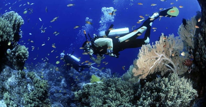 Cham Islands Snorkeling Tour by Speedboat : Hoi An/Da Nang - The Sum Up: Is It Worth It?