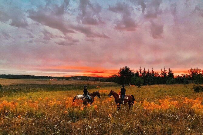 Champagne and Charcuterie Sunset Trail Ride - Who Should Consider This Experience?