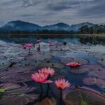 Chandubi Full-Day Tour from Guwahati with Traditional Lunch - Why This Tour Is a Great Choice