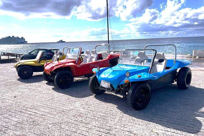 Chankanaab Park and Island Tour by Buggy with Mexican Lunch - The Sum Up