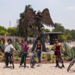 Chapultepec Castle or Anthropology Museum bike tour - An In-Depth Look at the Bike Tour of Mexico City’s Cultural Gems