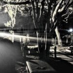 Charleston Dark History & Ghost Tour with Adam - Final Thoughts