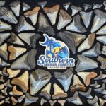 Charleston/Folly Beach Shark Tooth and fossil Island Drop off - Frequently Asked Questions