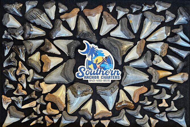 Charleston/Folly Beach Shark Tooth and fossil Island Drop off - Frequently Asked Questions