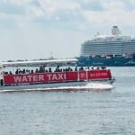 Charleston Water Taxi Cruise with Dolphin Sighting - Who Will Love This Experience?