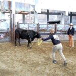 Charreria heritage tour be a charro for a day - Authentic and Entertaining: What the Reviews Say