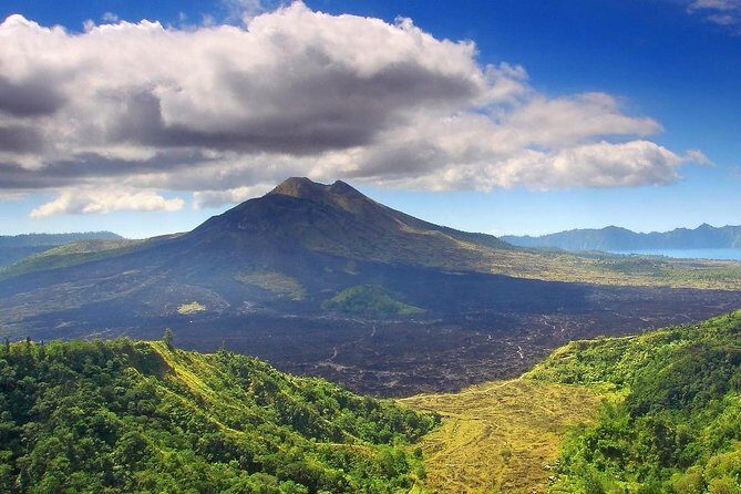 Charter Premier Vehicle with Driver at Bali - 5 Hours Usage - Who Should Consider This Experience?