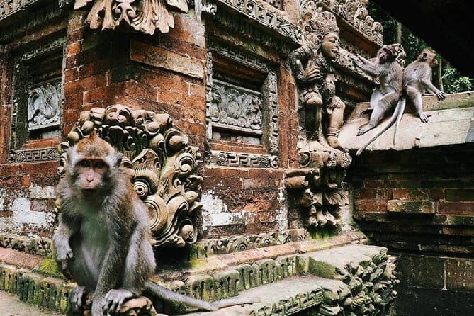 Charter Standard Vehicle with Driver at Bali- 10 Hours Usage - Possible Drawbacks