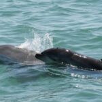 Chartered Private Family Boat Tour - What’s Really Worth Noting