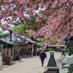 Chartered Private Tour - Tokyo to Nikko, Toshogu, Edo Wonderland - The Sum Up