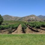 Chauffeured Adventure to Local San Diego Vineyards - Frequently Asked Questions