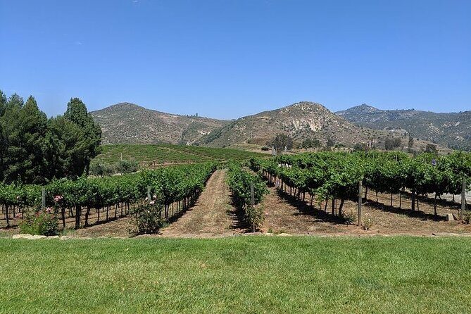 Chauffeured Adventure to Local San Diego Vineyards - Frequently Asked Questions