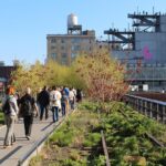 Chelsea Architecture and Art Tour with Award Winning NYC Guide - Why This Tour Offers Great Value