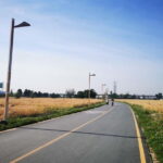 Chengdu: 100km Greenway Ring Road Cycling Challenge tour - In-Depth Review of the 100km Greenway Ring Road Cycling Challenge