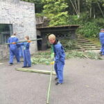 Chengdu: 4-Day Wolong In-Depth Panda Tour - Why This Tour Offers Exceptional Value