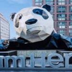 Chengdu downtown essences private day tour - Who Will Love This Tour?