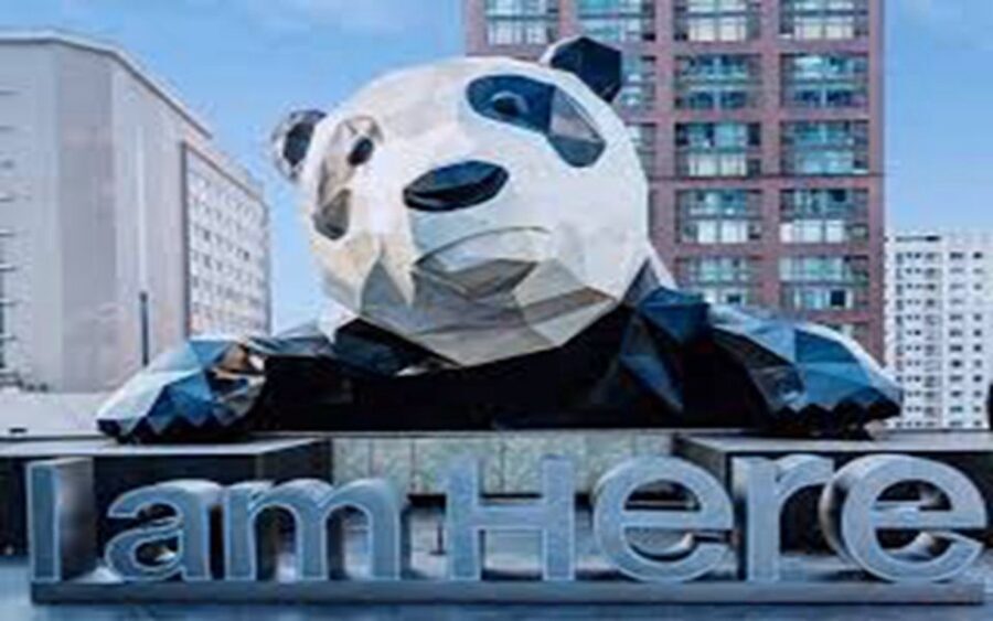 Chengdu downtown essences private day tour - Who Will Love This Tour?